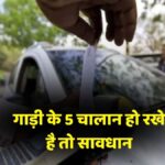 driving licence cancellation